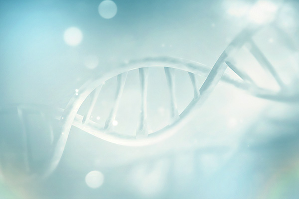 Bio